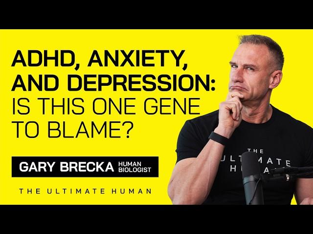 The MTHFR Gene: Why Your Vitamins Might Be Useless (And What to Do) | Ultimate Human #096