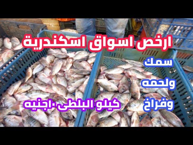 ارخص الاسواق لبيع| السمك ولحمه وفراخ وخضار| سوق باب عمر باشا