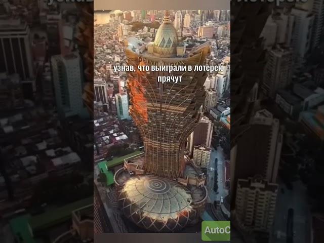 интересные и достоверные факты