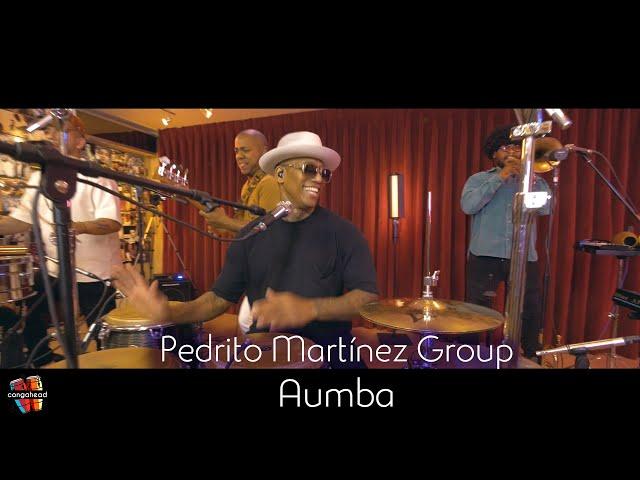 Pedrito Martínez Group Perform Aumba