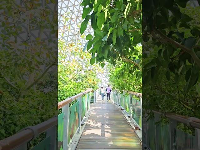 거제도 가볼한만 곳, 거제식물원