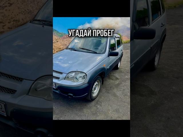 CHEVROLET NIVA УГАДАЙ ПРОБЕГ #shorts #нивашевроле #бездорожье