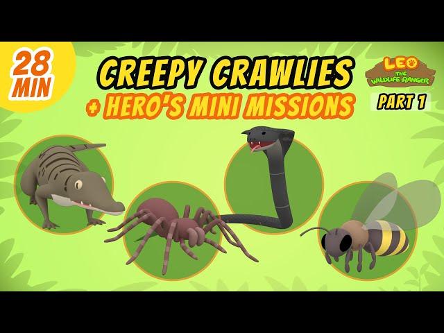 Creepy Crawlies (Part 1/3) - Junior Rangers and Hero's Animals Adventure | Leo the Wildlife Ranger