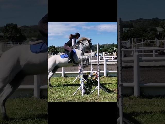 #equestrian #jumping #fyp #pony #showjumping #horses #horseriding #equestrianlife