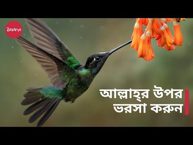 আল্লাহ্‌র উপর ভরসা করুন | দুশ্চিন্তা ও ঋণ থেকে মুক্তি - শায়খ মুখতার আশ-শানক্বিতি