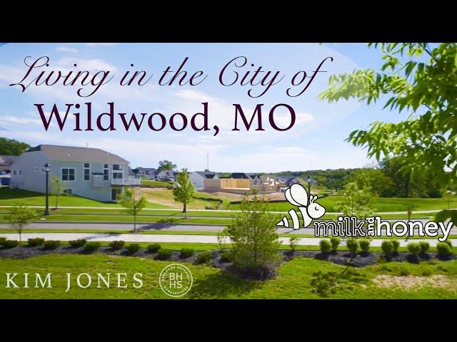 Living in Wildwood Missouri (St. Louis County)  | Exploring Milk & Honey Boutique and Wine Bar