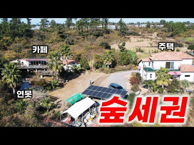 미친 분위기에 지금까지 본 적 없는 제주도 단독주택 H-460 주택과 카페 그리고 자연 연못까지 정말 환상적입니다