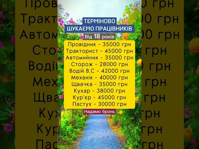 Робота праця вакансії підробіток в Україні #робота #вакансії