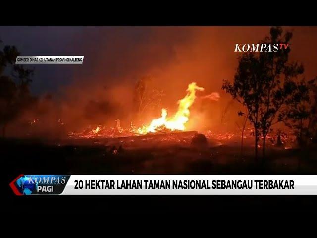 20 Hektar Lahan Taman Nasional Sebangau Terbakar