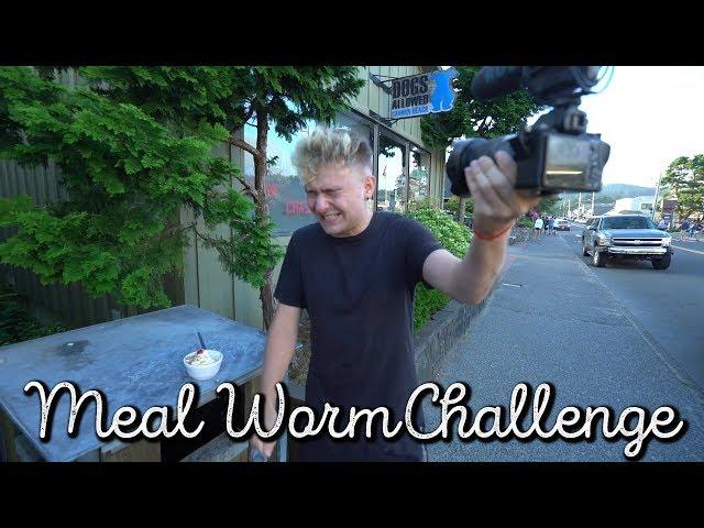 MEAL WORM CHALLENGE! EXPLORING WITH JOSH!!
