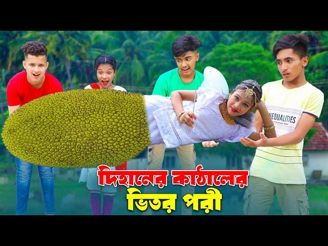 দিহানের কাঠালের ভিতর পরী | Dihaner Kathaler Vitor pori | bengail fairly tales | dihan | bihan |