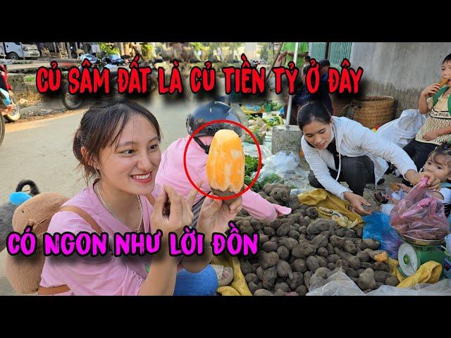 Truy Tìm Củ Sâm Đất Loại Củ Giúp Người Dân Kiếm Tiền Tỷ Đổi Đời | Song Nhi TV