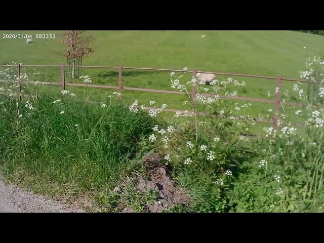 Unexpected Good Deed for the Day Whilst out on my Sinnis Terrain Motorcycle.