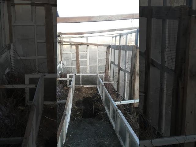 Теплица своими руками часть 2