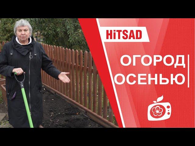Работы осенью в саду и огороде - Хитсад ТВ