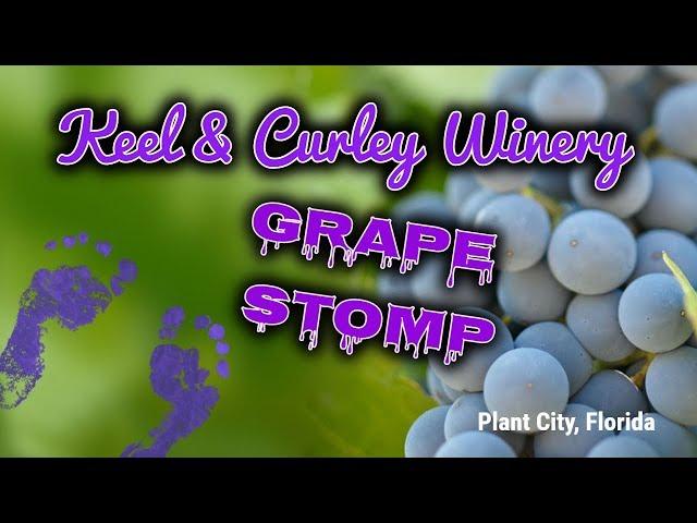 Keel and Curley Winery Grape Stomp