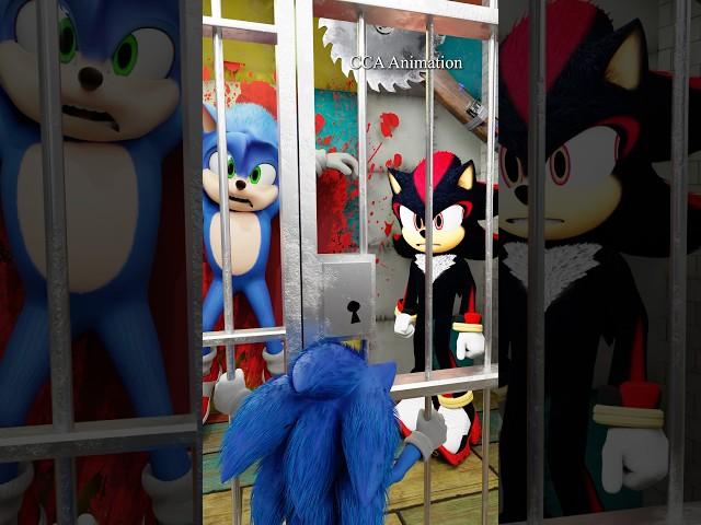 SONIC X SHADOW THE DOOR IS UNLOCKED - SONIC THE HEDGEHOG #sonic #playtime #sprunki #funny #memes