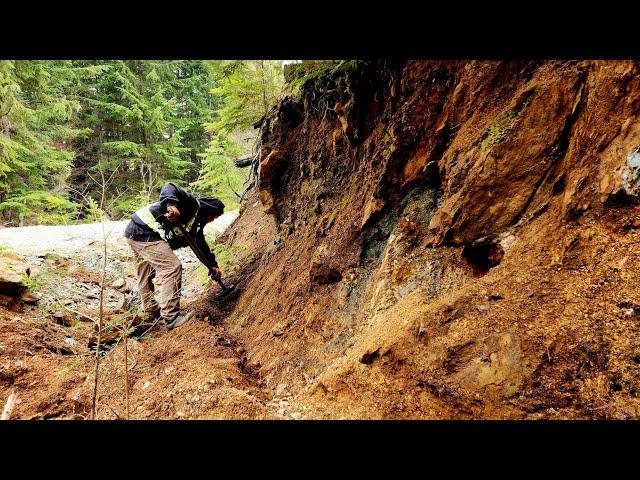 New Mineralized Quartz Vein Found 300 Meters From The 911 Showing!