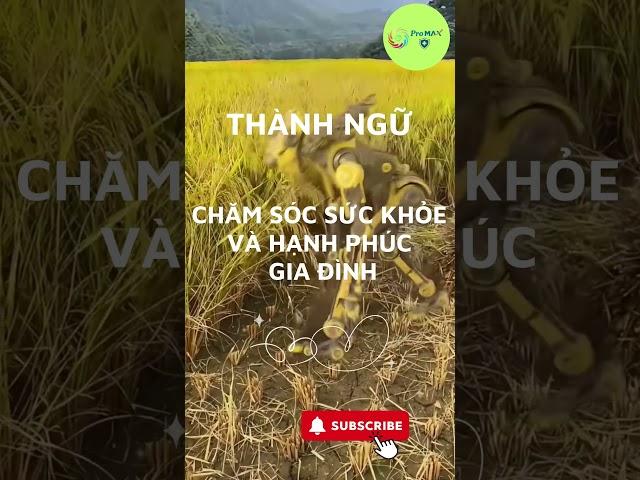 Chuyên Gia Chăm Sóc Sức Khỏe Tiết Lộ Bí Quyết Giữ Bạn và Gia Đình Bạn Sống Khỏe Mạnh