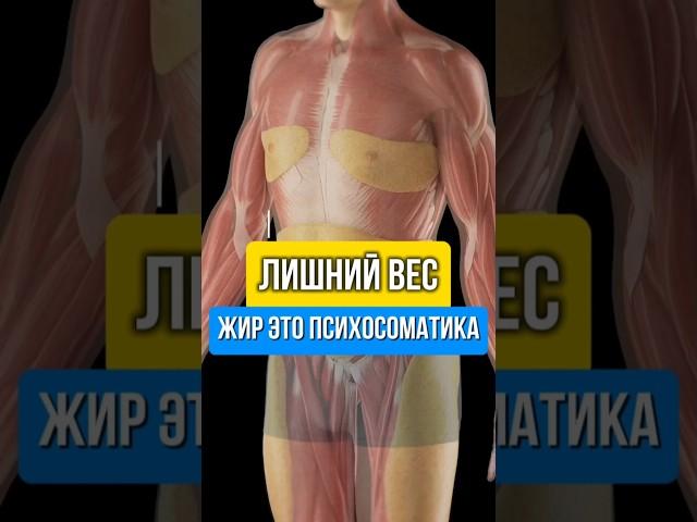 Лишний вес и жир, это психосоматика.