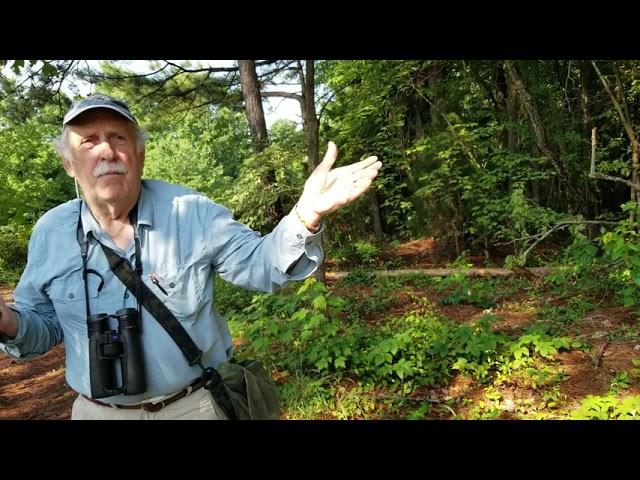 Beginning Bird Watching Tips from Birding Expert Alan Hale