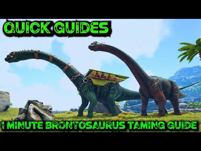 Ark Quick Guides - Brontosaurus - The 1 Minute Taming Guide!