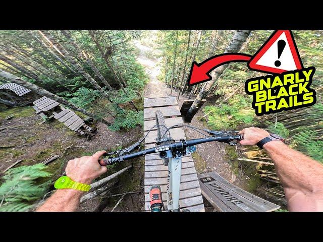 RIDING GNARLY TECH BLACK TRAILS IN WHISTLER ON MY DOWNHILL BIKE!