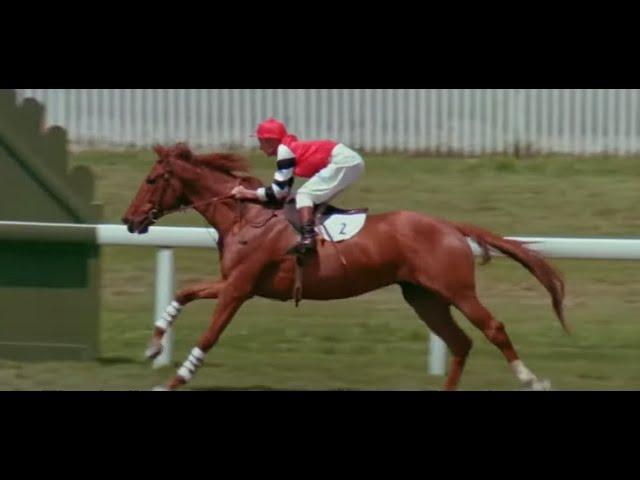 Phar Lap (1983)