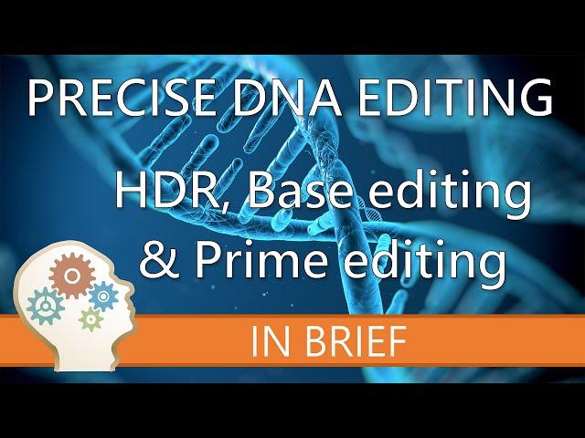 PRECISION EDITING USING CRISPR - GENE EDITING EXPLAINED!