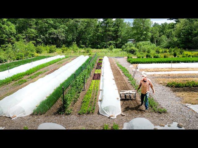 The Enormous Potential of a Small Farm | Assawaga Farm