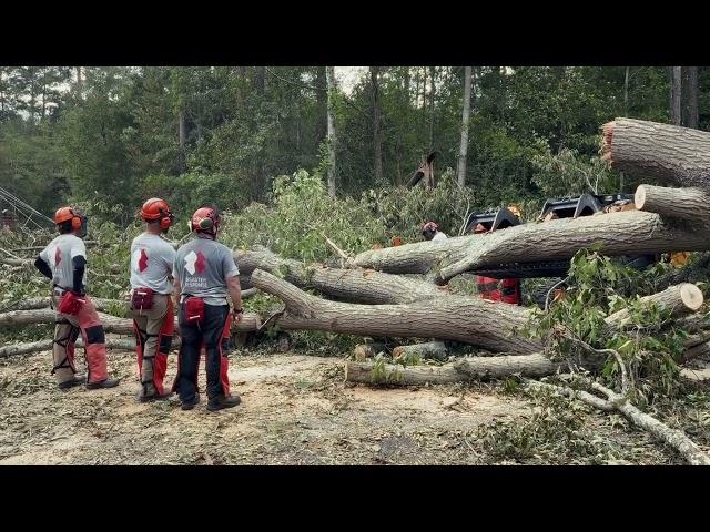 FOR MEDIA USE: Hurricane Helene B-Roll Footage | 9.29.24 | Team Rubicon