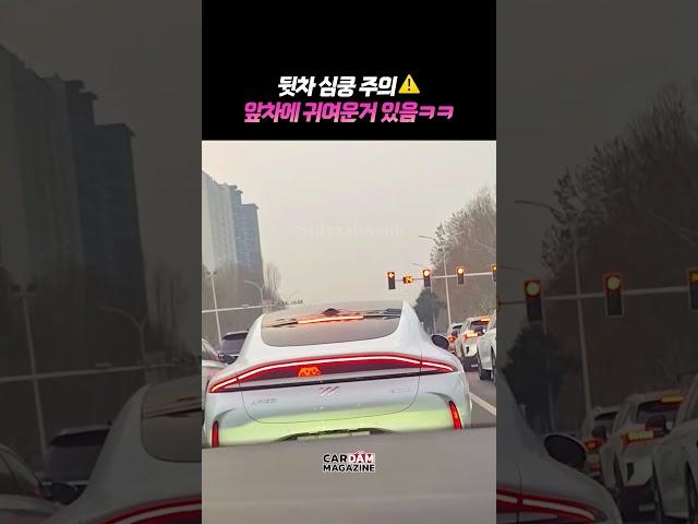 뒷차 심쿵 주의 ️ 앞차에 귀여운 거 있음ㅋㅋ