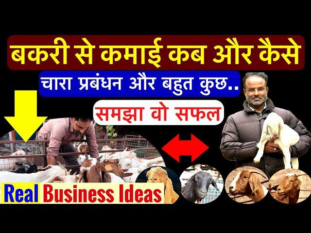 बकरी से कमाई का सही हिसाब,अनुभवी किसान की जुवानी | bakri se kitni kamai hoti hai | Goat farming idea