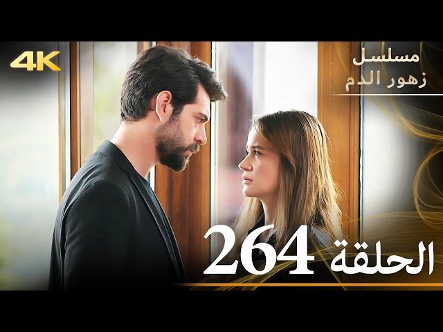 الحلقة 264 | مسلسل زهور الدم | مدبلج بالعربية | Kan Çiçekleri | جودة 4K