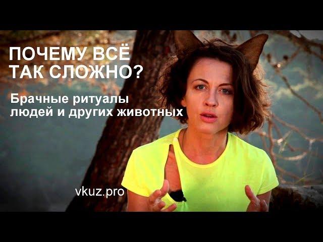 Выбор партнёра: почему все так сложно? // лекция "Всё как у зверей"