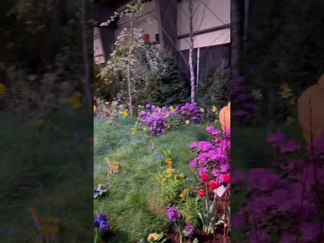 Overview of water feature at Vermont Flower Show