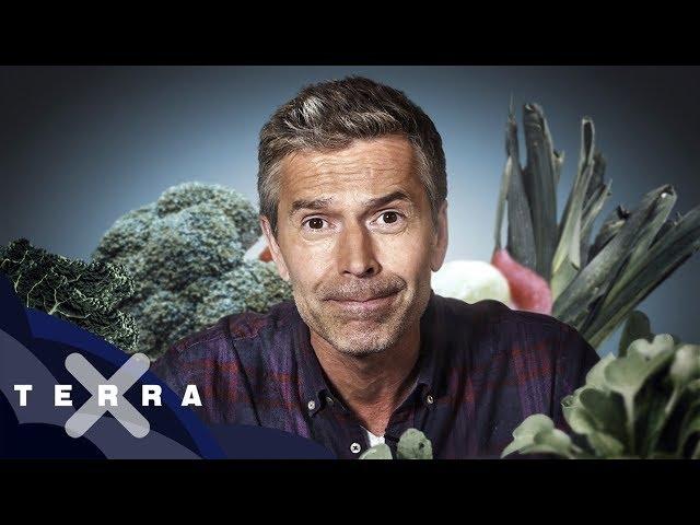 Müssen wir alle Vegetarier werden? | Dirk Steffens