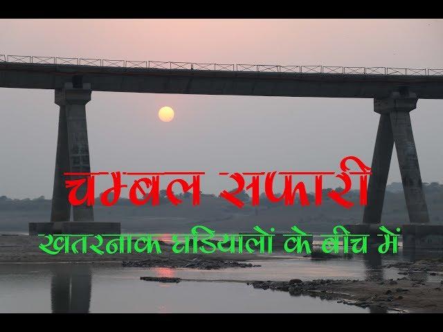 चम्बल सफारी। खतरनाक मगरमच्छ और घड़ियालों के बीच मौज मस्ती। Chambal Safari