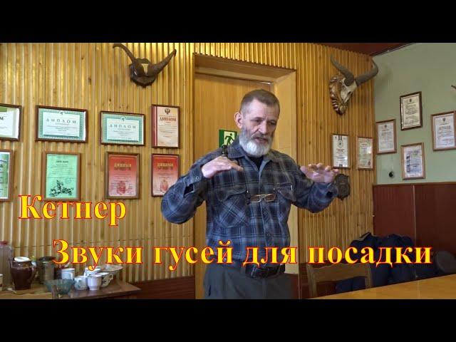Кетнер. Семинар. Рабочий набор звуков от мастера, звуки гусей манок на гуся