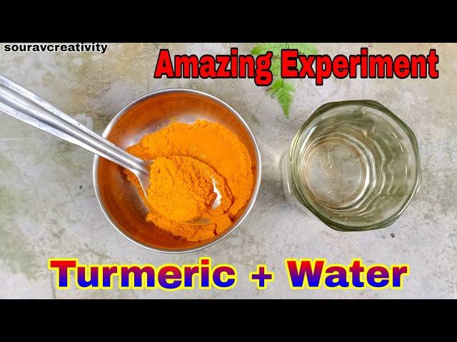 2 Easy Science Experiment To Do At Home || School Science Experiments || turmeric + water=?