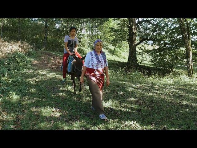 Eski Usul Armut Pekmezi Yapımı ( Pear Molasses Making)