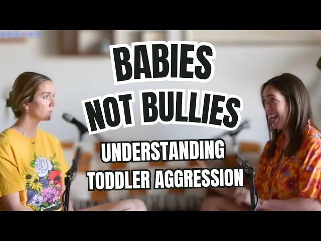 Babies Not Bullies | How to understand and respond to toddler aggression