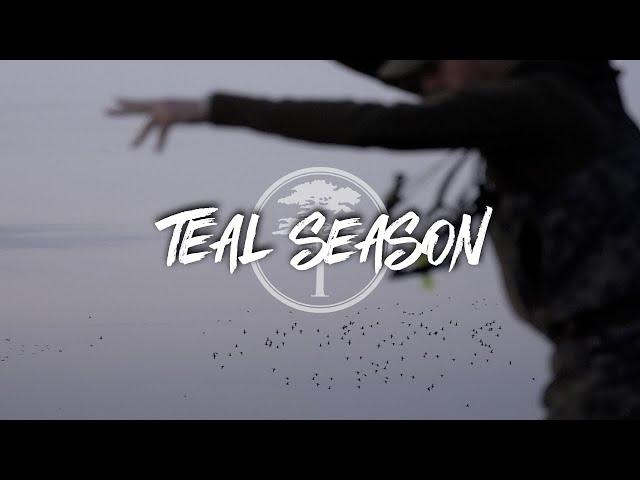 Duck Hunting- OPENING DAY of Teal Season (TEAL EVERYWHERE)