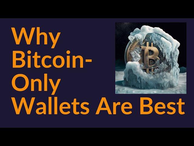 Why Bitcoin-Only Wallets Are Best