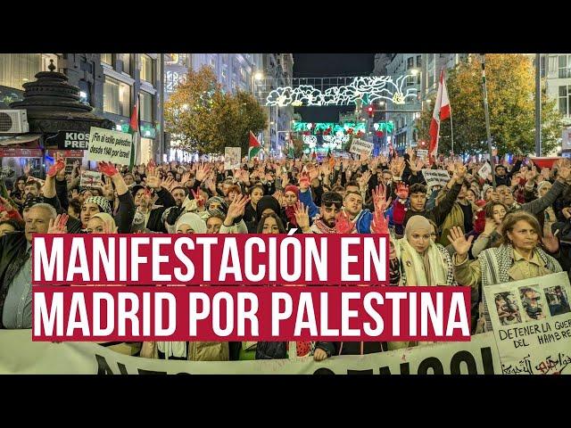 Alto el genocidio: sigue en directo la manifestación en Madrid por Palestina