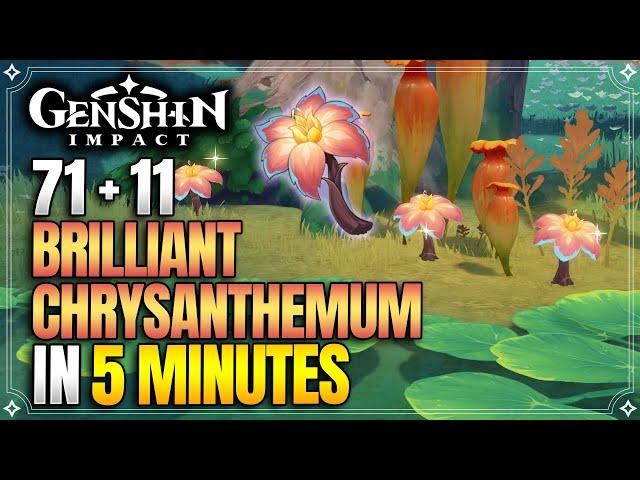 Brilliant Chrysanthemum Locations | Fast and Efficient | Xilonen Ascension Materials【Genshin Impact】