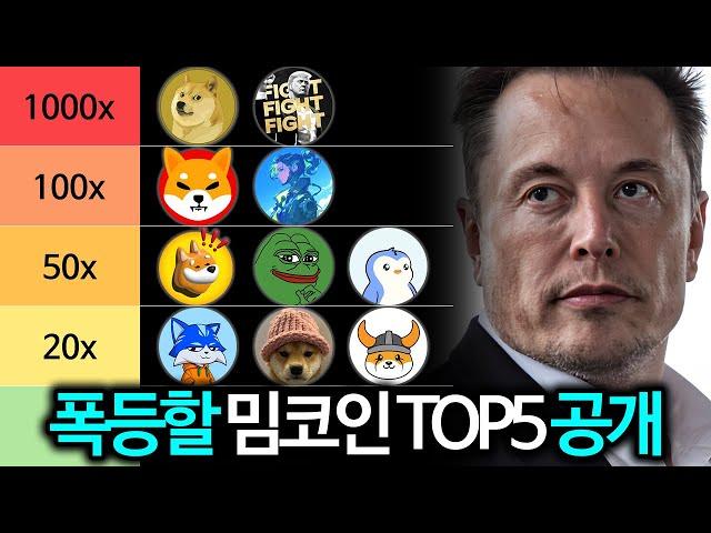 밈코인 대불장에 폭등할 일론머스크 관련 밈코인 TOP5 총정리