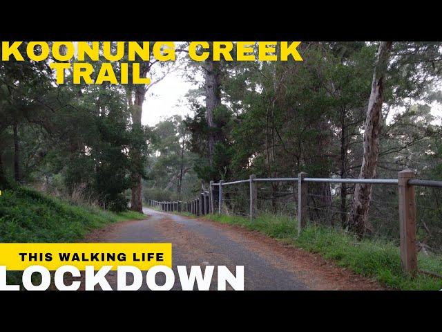 ⁴ᴷ Walking Melbourne Region: Koonung Creek | favourite secluded Trail  Lockdown 4.0