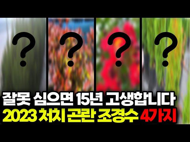 잘못심으면 15년 고생합니다. 2023 처치 곤란 조경수4가지[‍️식물방위대‍]