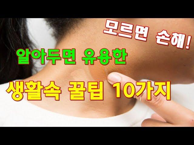 알아두면 유용한 생활속 꿀팁 10가지 [지식정보-감성플러스]